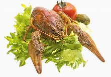 Homar po amerykańsku