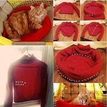 fajny pomysł na legowisko d...