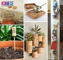 korek i jego moźliwości