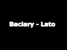 Baciary-Kocham Ciebie za to (Lato)