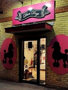 Dog images, dog animations, dog quotes, dog training tips, funny dogs, dog and cat, dog and pet, cute dog and baby