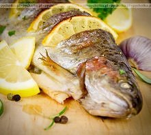 Grillowany karp