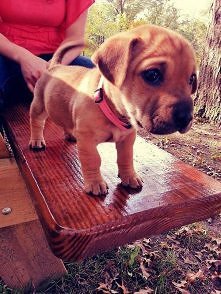 taka tam mała mordeczka <3