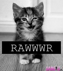 Rawwwr
