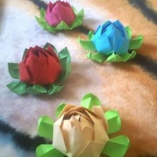 aaa

modular origami, modułowe, kwiatek, lotos, lotus, flower