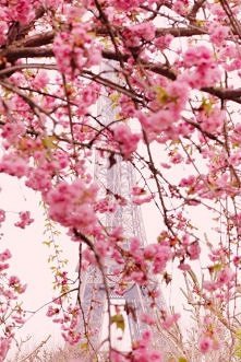 "I love Paris in the springtime.
I love Paris in the fall.
I love Paris in the winter when it drizzles,
I love Paris in the summer when it sizzles.

I love Paris every mome...