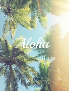 Aloha!