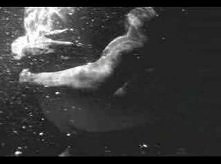 Tina Turner - Way of the world