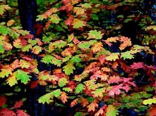 Jesień, jesień, jesień!