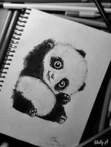 Panda! :*