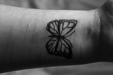 butterfly project