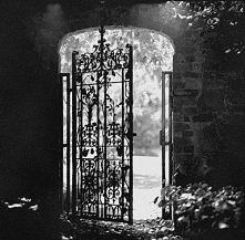 landofthemorningstars.tumblr.com