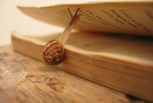 przypomniało mi się wspólne czytanie książki... ;) gdy nie mogłam się doczekać kolejnej strony...