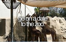..go on a date to the zoo. DONE :)