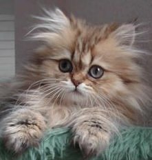 Oo...jaki słodki ;)