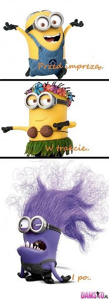 Przed imprezą, w trakcie i po..