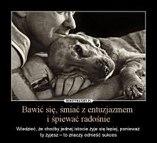 Jednej istocie żyje się lepiej...