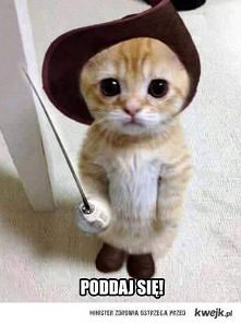 poddaj się! :D