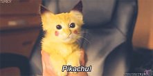pikachu *,*