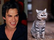 HAhah :D Damon :p