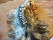 haha kto spróbuje ? :D