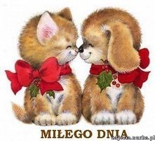 Miłego dnia