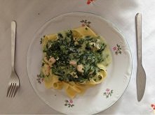 makaron wstazki z sosem beszamelowym, szpinakiem oraz kurczakiem doprawiony wloskimi ziolami