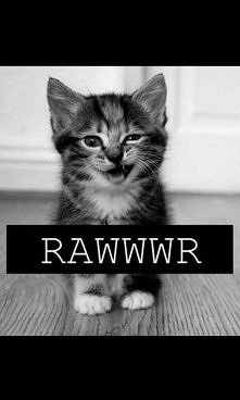 rawwr