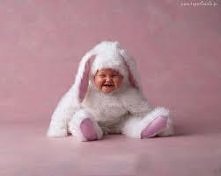 ^.^ Bunny
