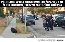 brak serca. :( wstyd ze sa tacy ludzie na tym swiece