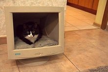 Wykorzystaj stary monitor.