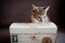 Retro vintage travel decoupage