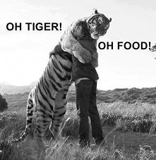 oh tiger!!!