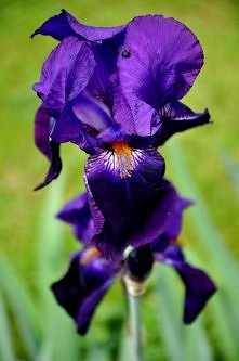 zdj. mojego autorstwa.