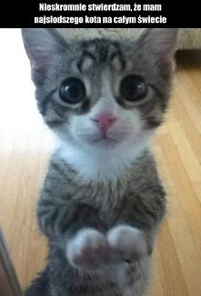 ja też chcę takiego <3