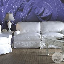 Elegancka róża doda prostem...