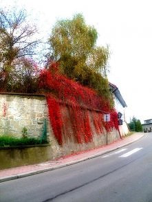 jesień już tuż tuż