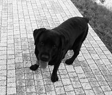 Co nie że słodziak? <3