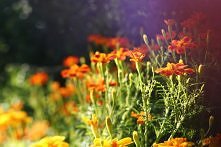 Kocham te kolory. :D