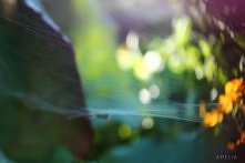 Zdecydowanie me ulubione <3