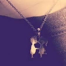 śliczne , chce takie <3 !