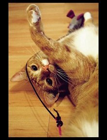 Fot. Justyna Adamkowska