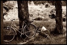 Fot. Justyna Adamkowska