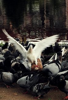 Fot. Justyna Adamkowska