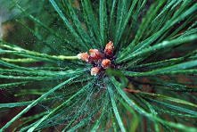 Fot. Justyna Adamkowska