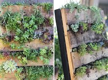 diy, pallet, vertical, garden, tutorial