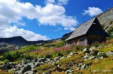 Tatry- Dolina Pięciu Stawów