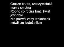 Przekazz... Słoń- Szczerze