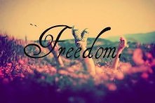 Freedom.