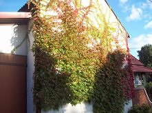 niby takie banalne ale za t...